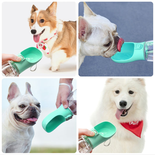Dogs  Drinking Bottle